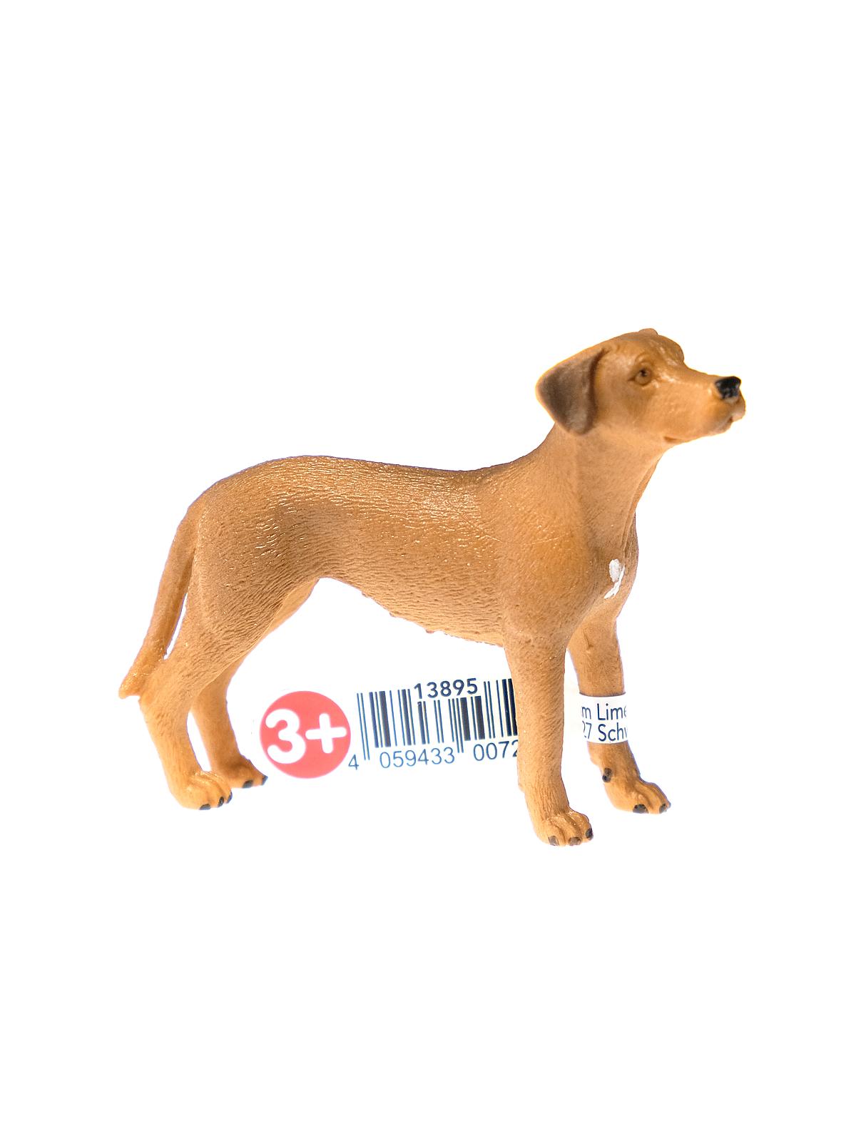 EAN 4059433007229 product image for Farm World Animals Rhodesian Ridgeback | upcitemdb.com