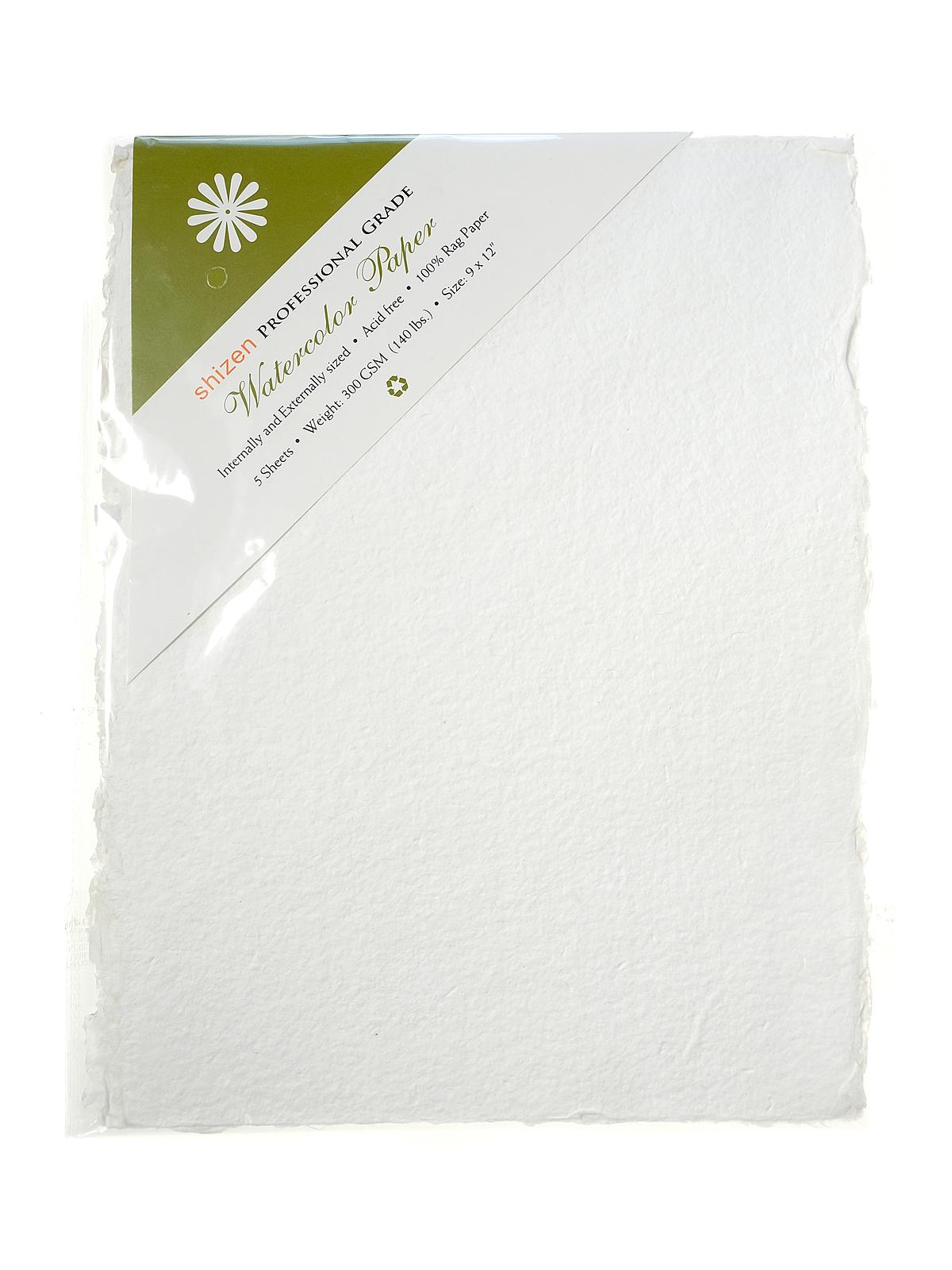 Professional Grade Watercolor Paper 9 In. X 12 In. Deckle Edges Pack Of 5