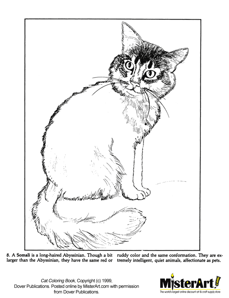 realistic coloring pages of cats